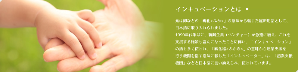 インキュベーションとは